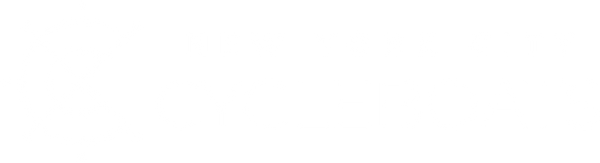 NYC Cycleboats